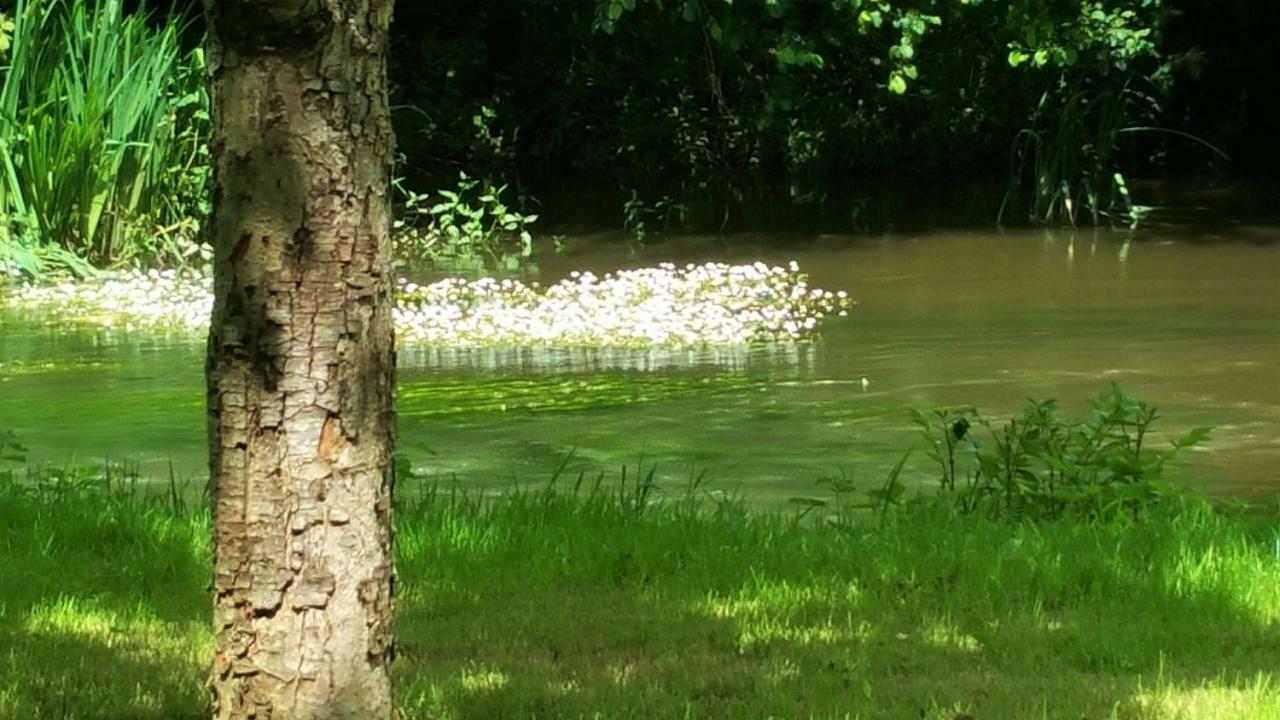 B&B Le Savoir Vivre Bonnes  Eksteriør billede